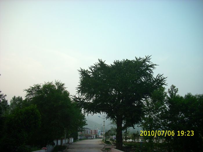 img_0158.jpg