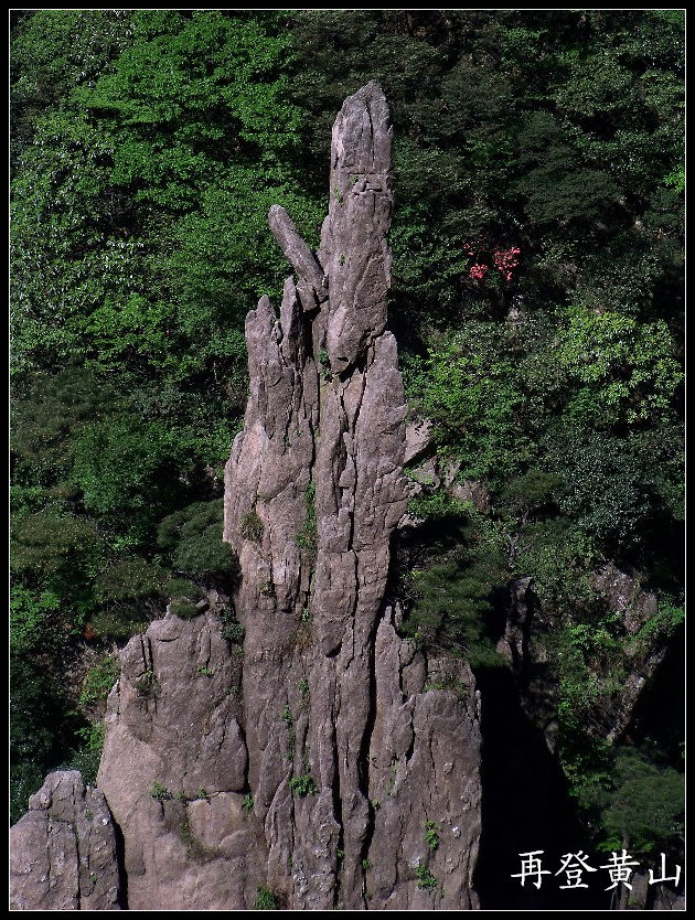 20100524ɽjϿ (39)837.jpg