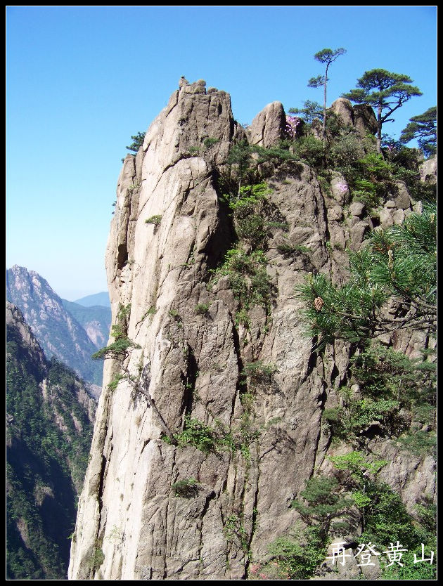 20100524ɽjϿ (42).jpg