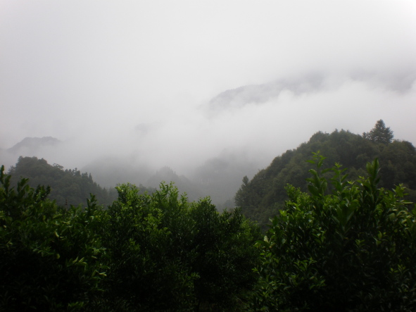 20100721_64.jpg