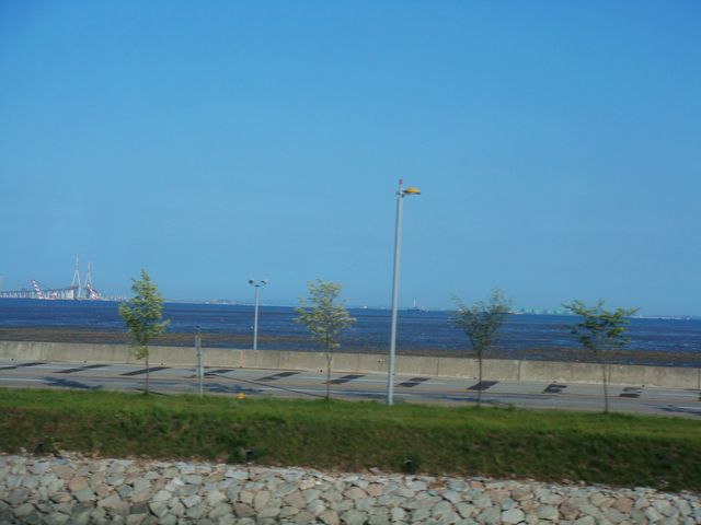 dsc01699.jpg