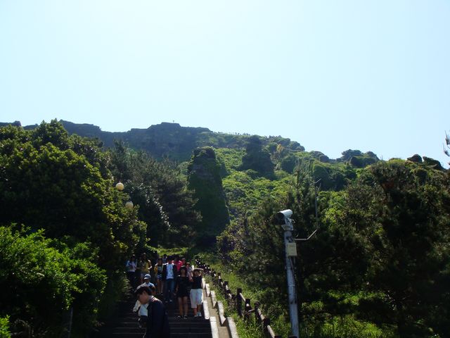 dsc01735.jpg