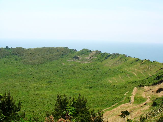 dsc01750.jpg