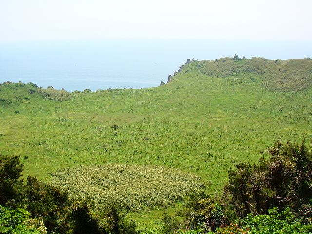 dsc01751.jpg
