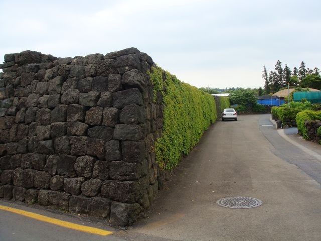 dsc01787.jpg