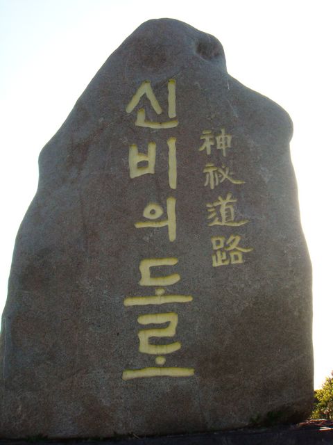 dsc01825.jpg