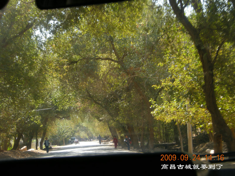 dscn4586.jpg