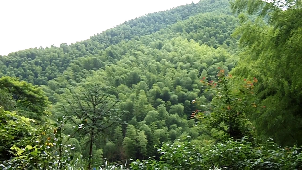 file041520100721-1052000.jpg