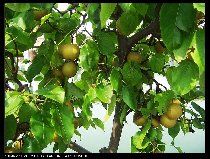 2010-7-24㵺һ 011.jpg