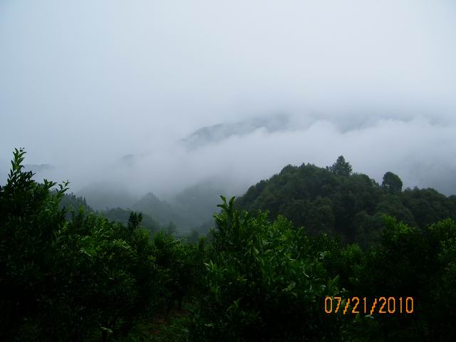 100_0233.jpg