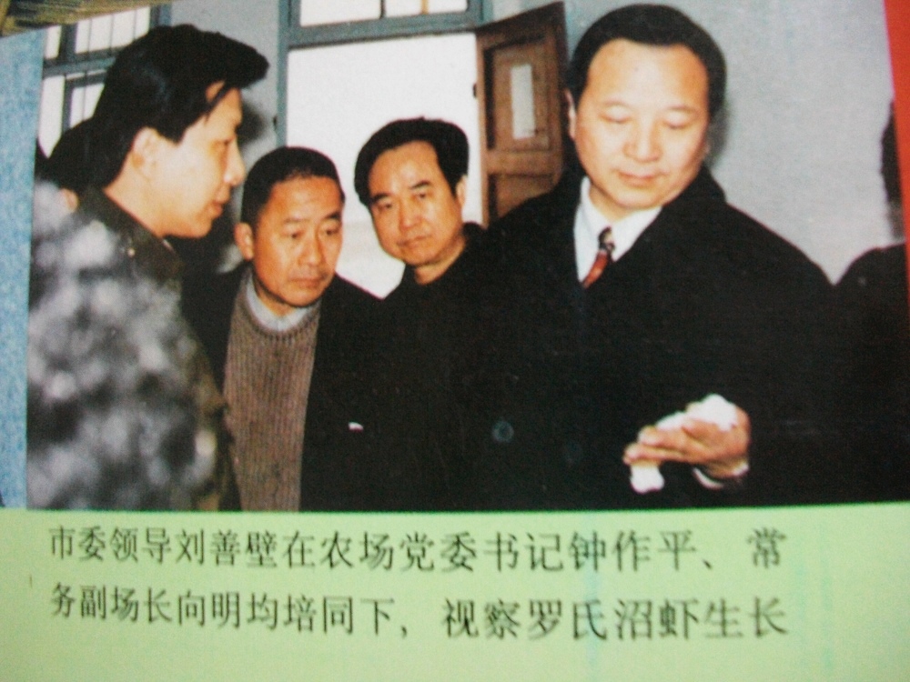 alim3936.jpg