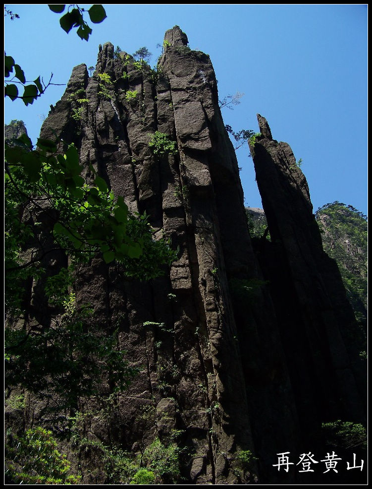 20100524ɽjϿ (89)1047.jpg