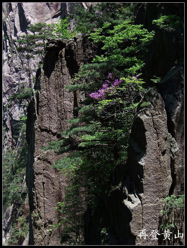 20100524ɽjϿ (94)11.jpg