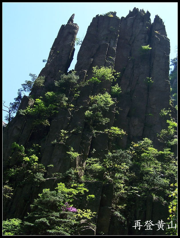 20100524ɽjϿ (98).jpg