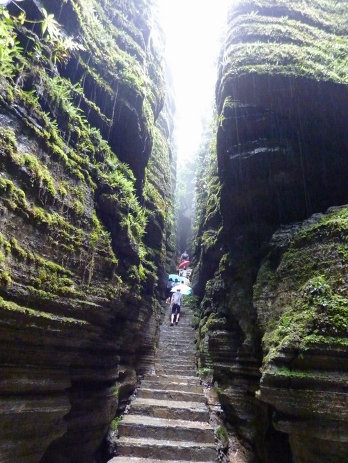 p1020377.jpg
