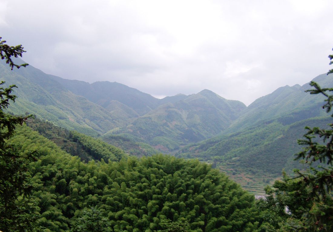 file0417.jpg