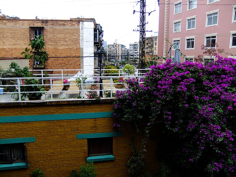 dscf1541.jpg