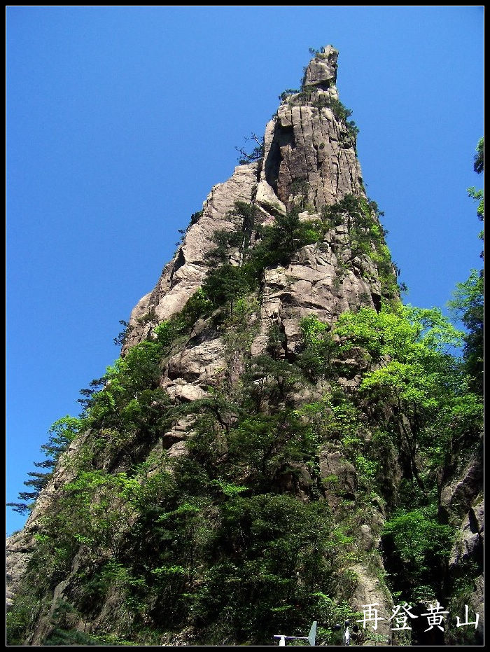 20100524ɽjϿ (86)bg.jpg