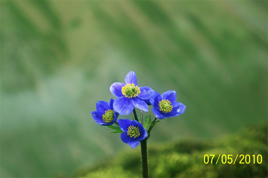 100_3393_.jpg