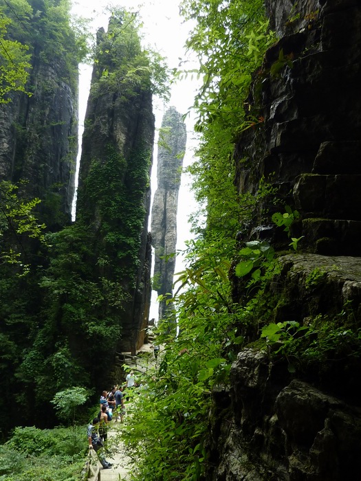 p1020921.jpg