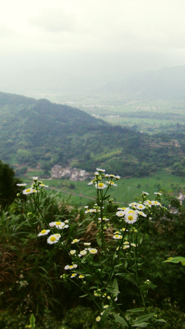 file0426.jpg