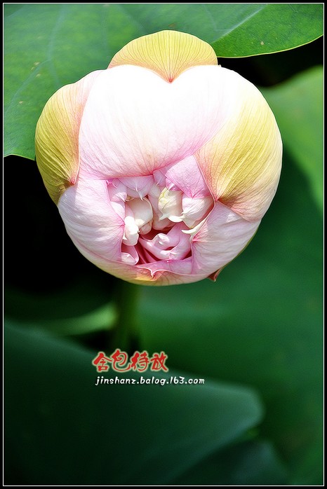 neo_img_dsc_3446.jpg