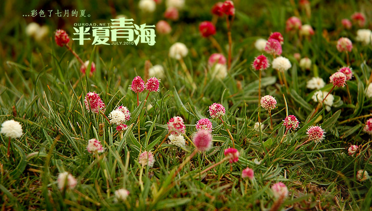 20100713_13862.jpg
