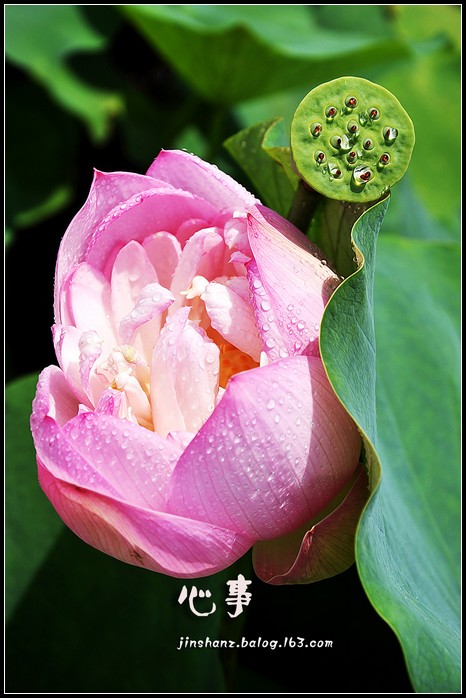 neo_img_dsc_3338p.jpg
