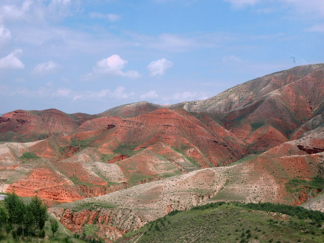 dsc_51301.jpg