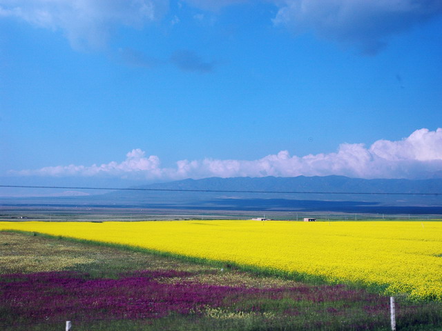 dsc_54051.jpg