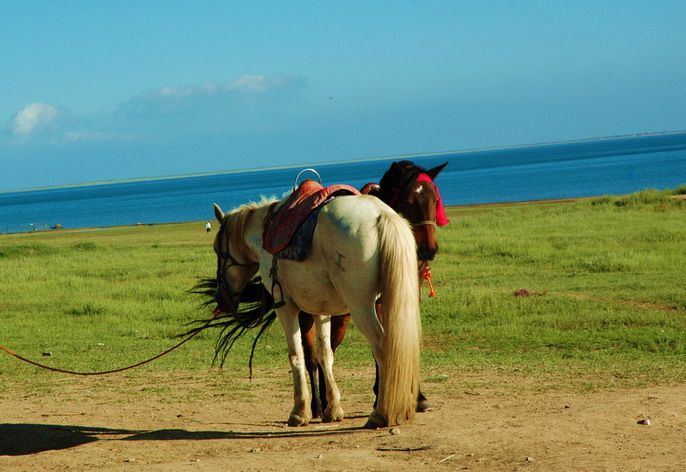 dsc_55061.jpg