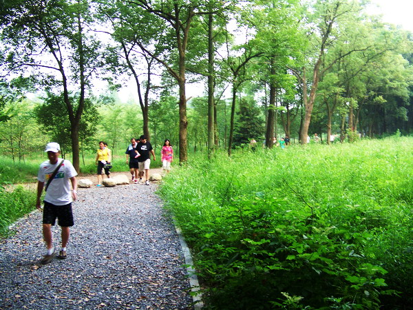 100_0970.jpg