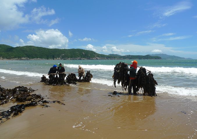 p1010585.jpg
