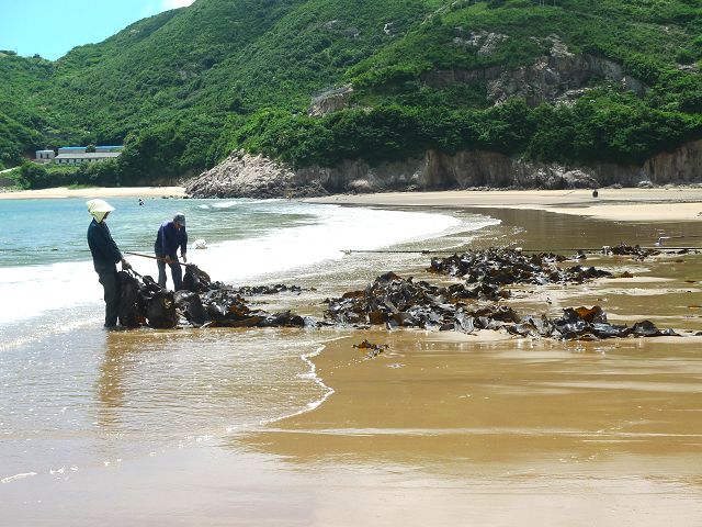 p1010575.jpg