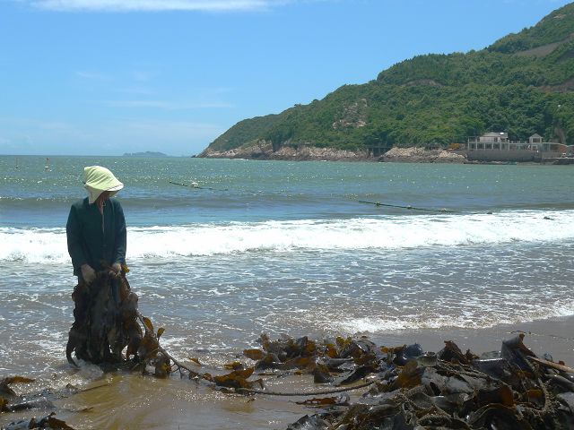 p1010578.jpg