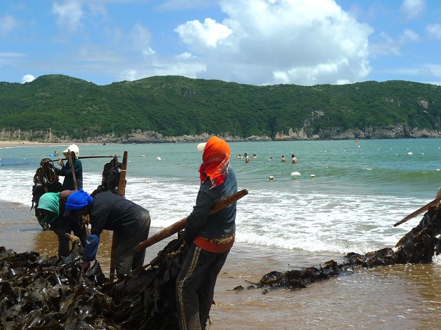 p1010583.jpg