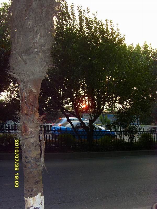 sdc16267.jpg