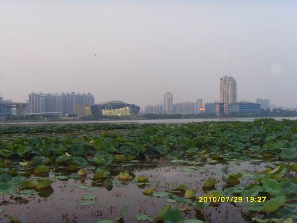 sdc16274.jpg