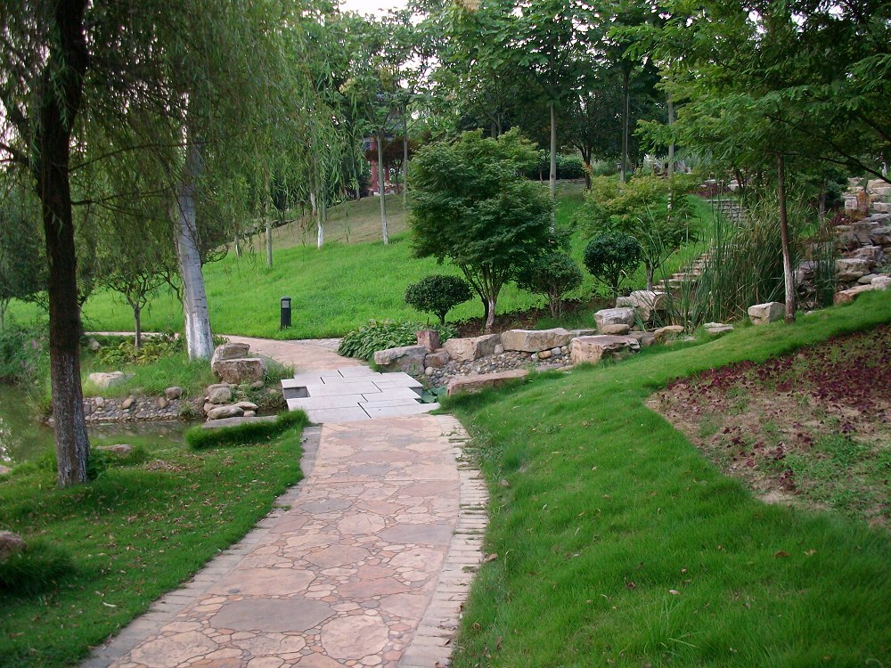 alim3973.jpg