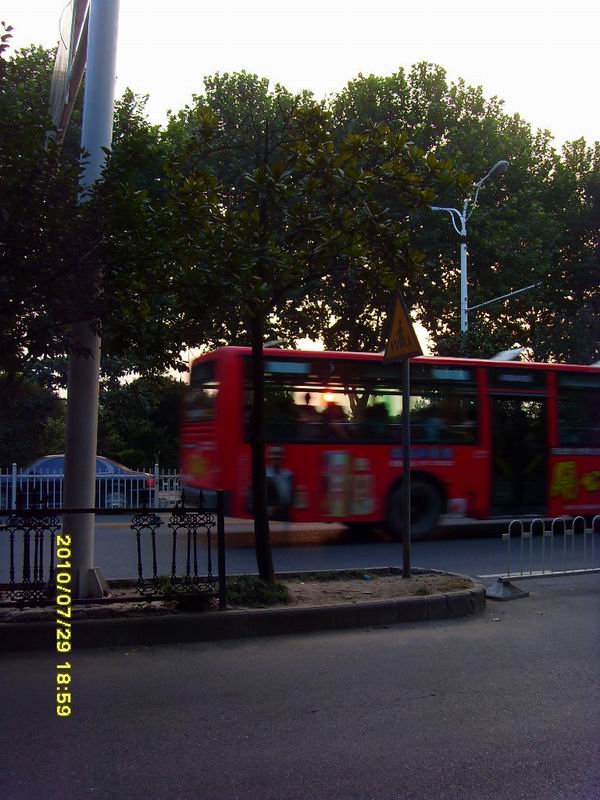 sdc16262.jpg