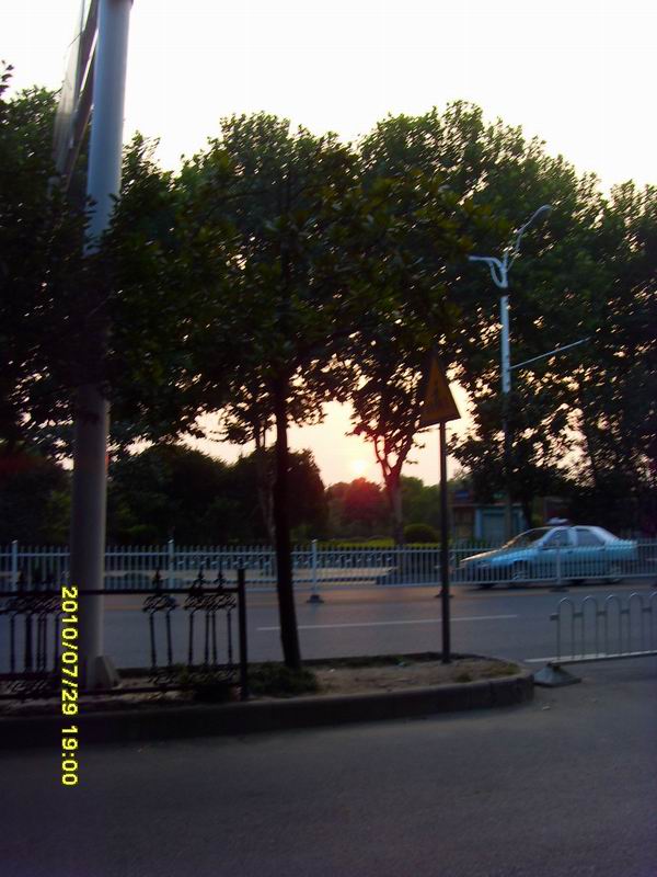 sdc16263.jpg