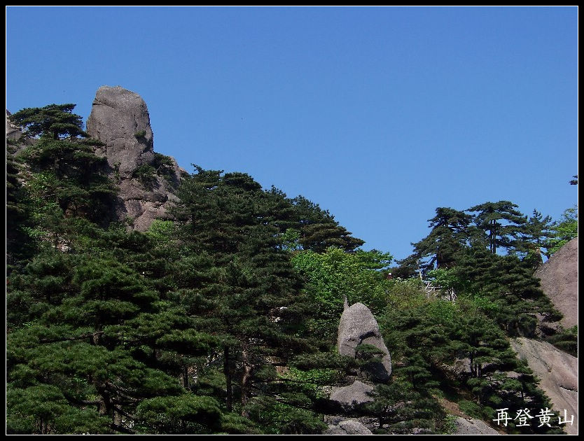 20100524ɽp (37).jpg