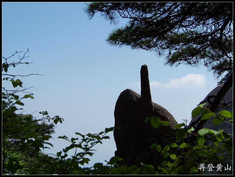 20100524ɽp (38)1438.jpg