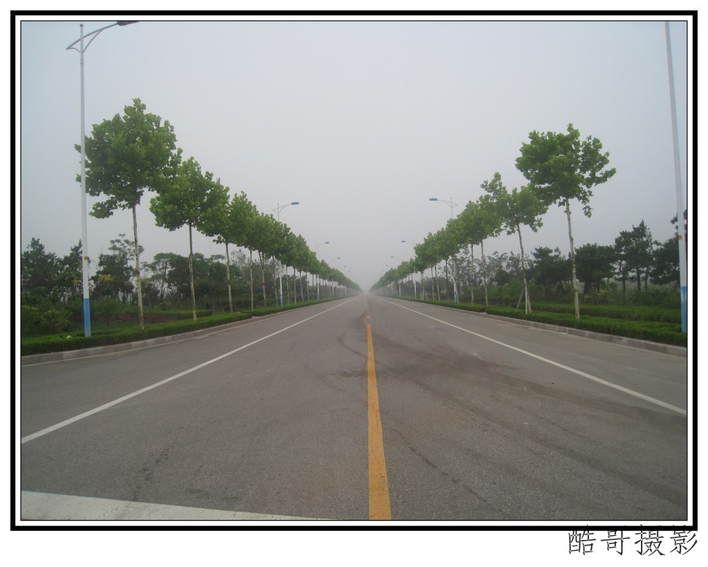 conew_img_2552.jpg