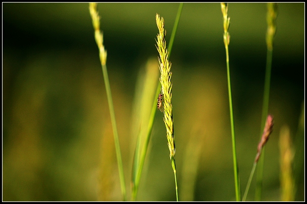 dsc_8484.jpg