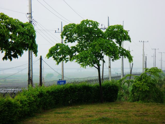 dsc02004.jpg