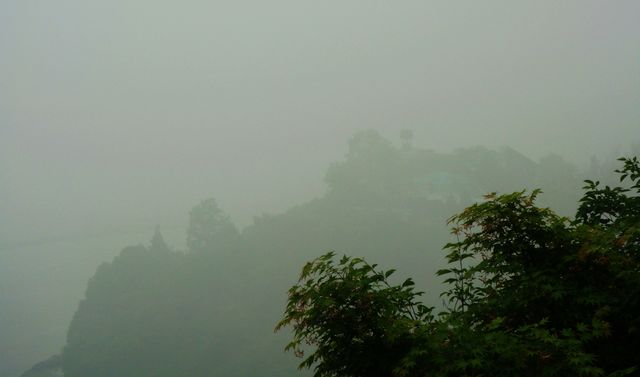 dsc02014.jpg