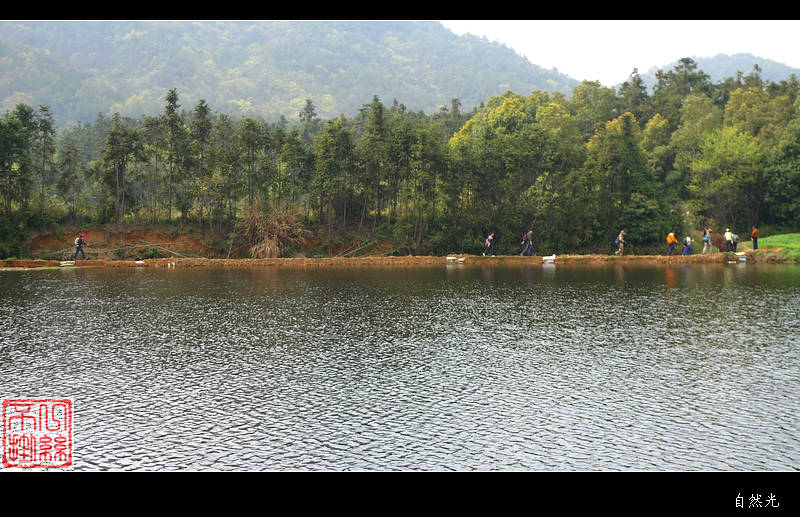 l1100030.jpg
