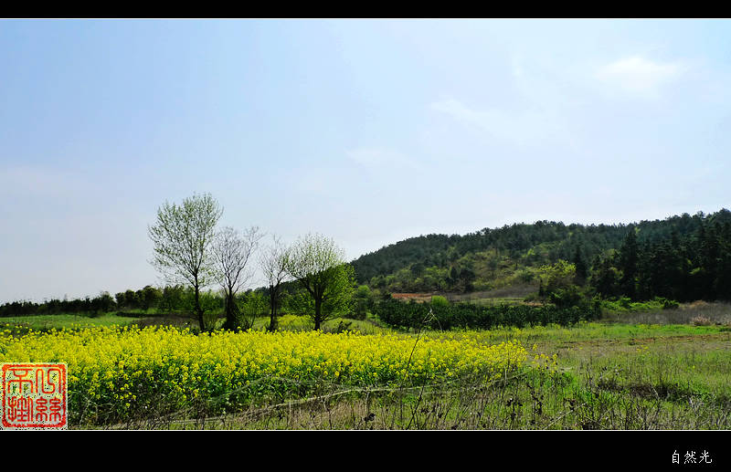 l1100039.jpg
