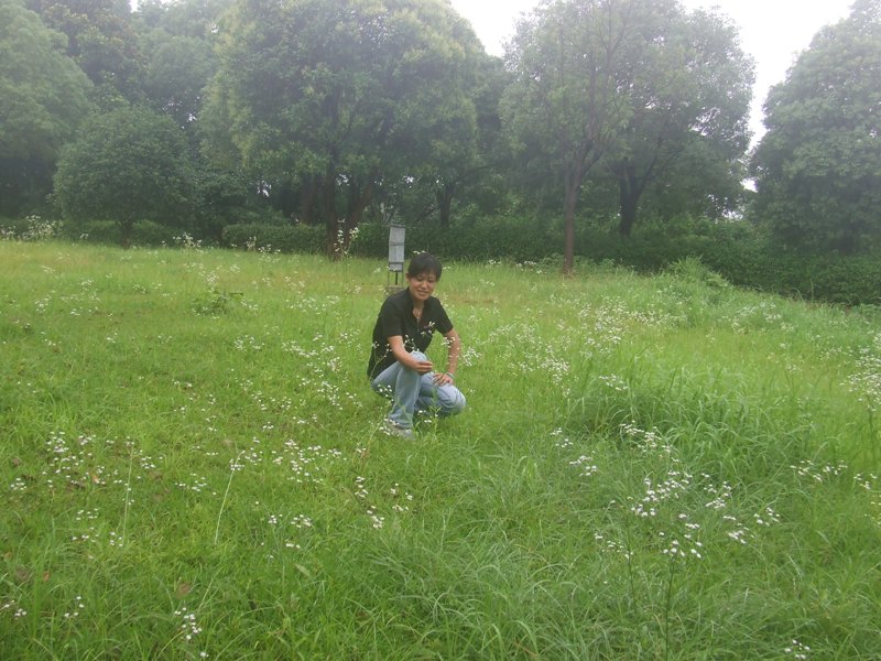 dscf1997.jpg